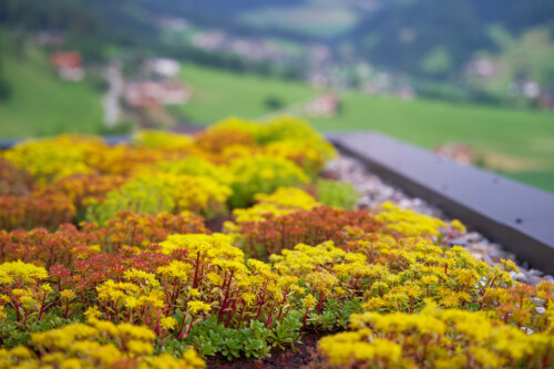 Nederlandse Vereniging van Huidtherapeuten